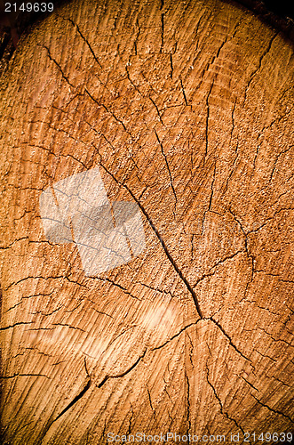 Image of Crack wood spiral 