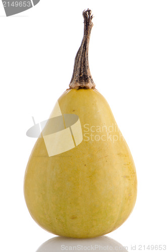 Image of Yellow pumpkin 