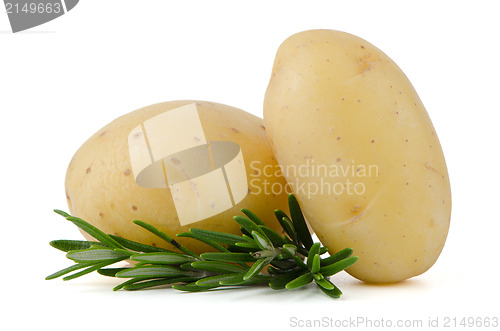 Image of New potato and green parsley