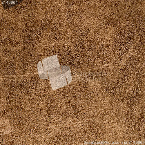 Image of Brown leather texture closeup