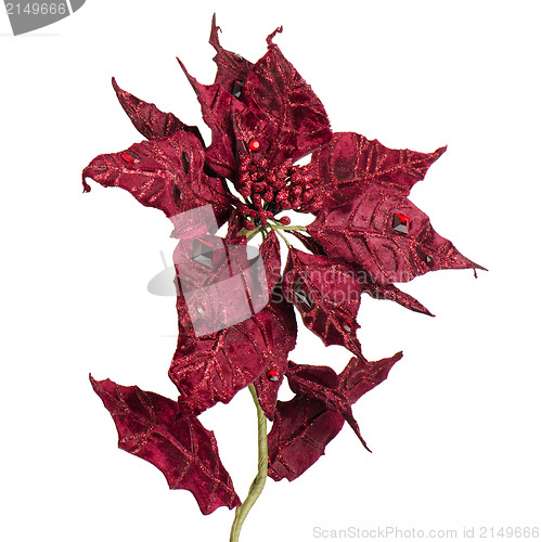 Image of Red Christmas decoration