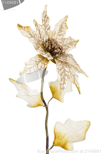 Image of White Christmas decoration