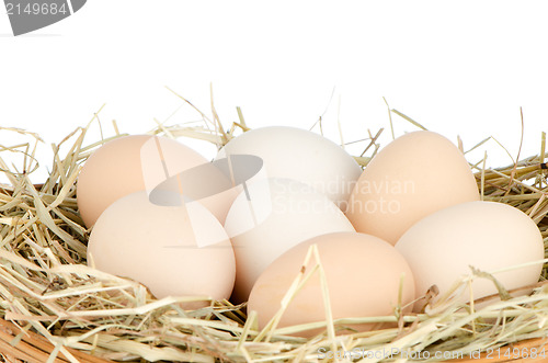 Image of Eggs closeup