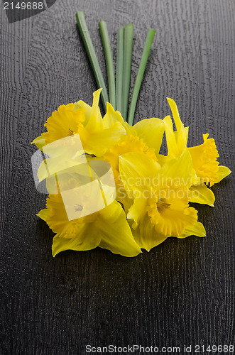 Image of Yellow jonquil flowers