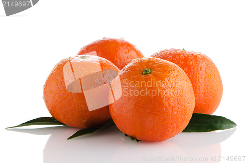 Image of Ripe tangerines or mandarin