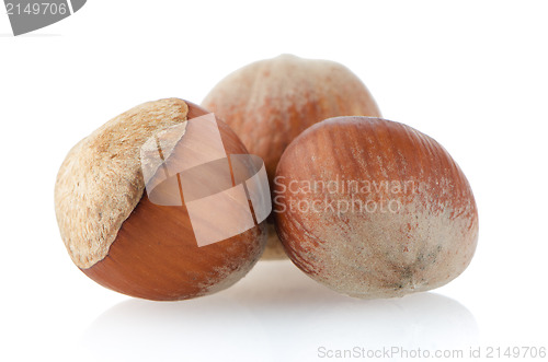 Image of Three hazelnuts