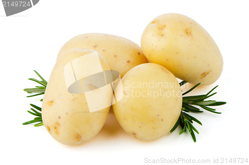 Image of New potato and green parsley