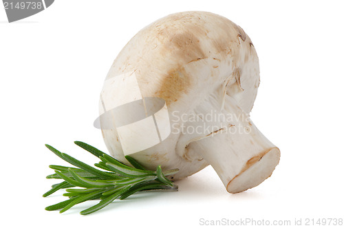 Image of Champignon mushroom and parsley leaves 