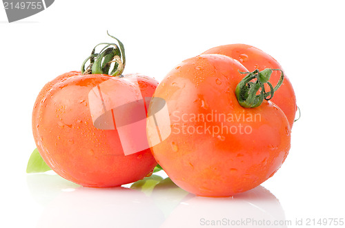 Image of Food ingredients