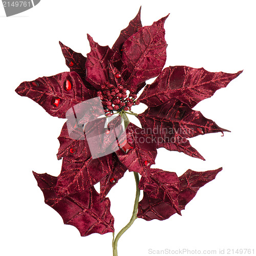 Image of Red Christmas decoration