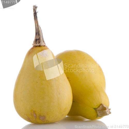 Image of Yellow pumpkins