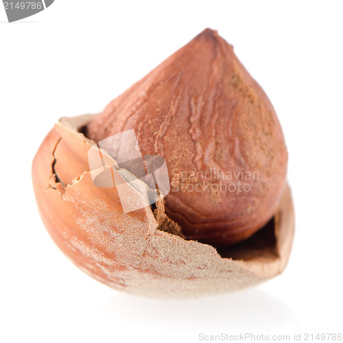 Image of Tasty hazelnuts