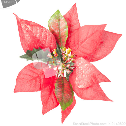 Image of Red Christmas decoration