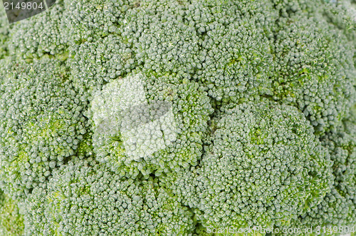 Image of Brocolli background