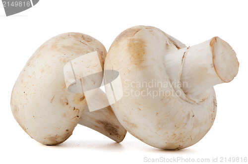 Image of Champignon mushrooms