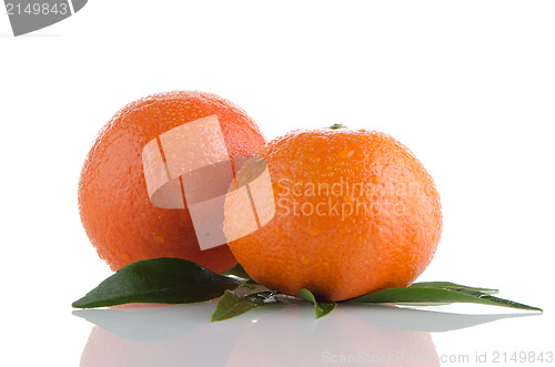 Image of Fresh orange mandarins