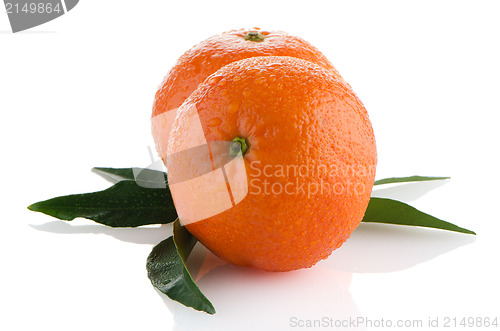 Image of Fresh orange mandarins