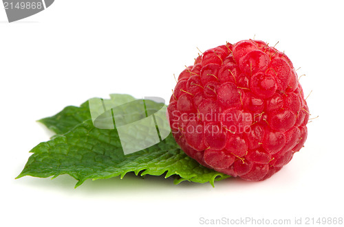 Image of Ripe red raspberry