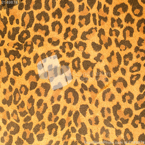 Image of Leopard leather pattern texture closeup