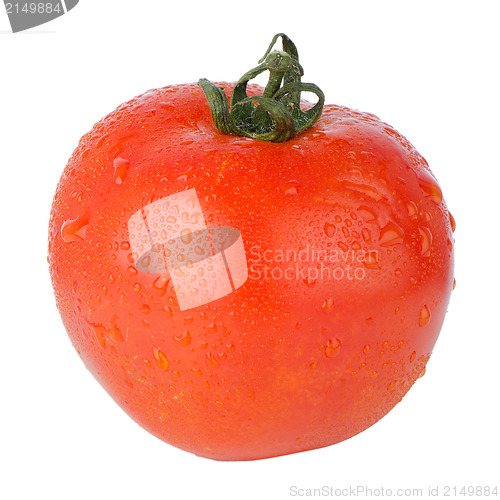 Image of Fresh red tomato 