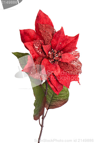 Image of Red Christmas decoration