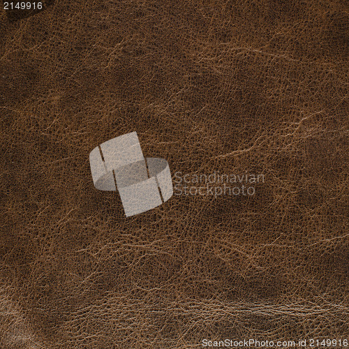 Image of Brown leather