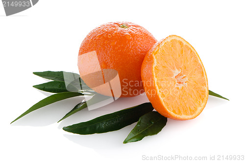 Image of Ripe tangerines or mandarin