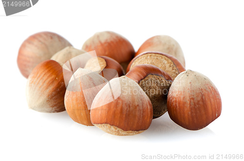 Image of Tasty hazelnuts