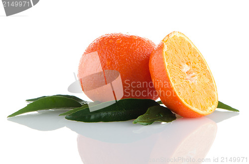 Image of Fresh orange mandarins