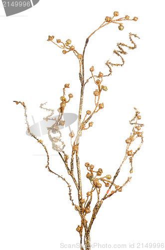 Image of Golden Christmas decoration branches