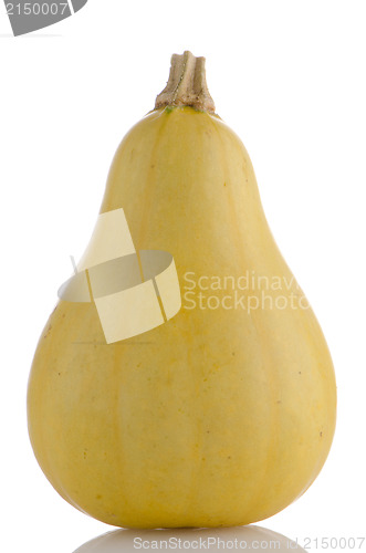 Image of Yellow pumpkin 