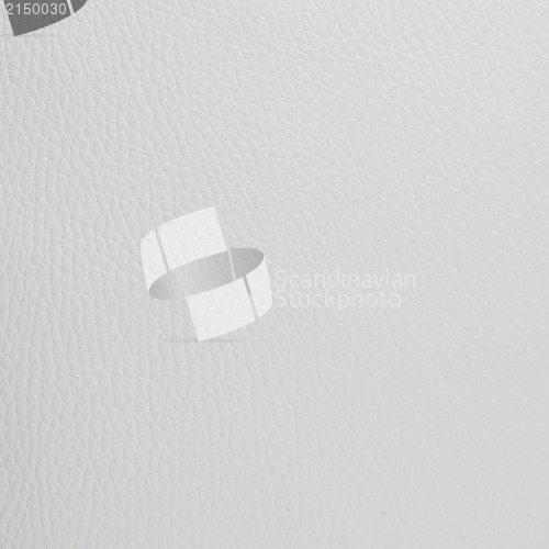 Image of White leather texture closeup