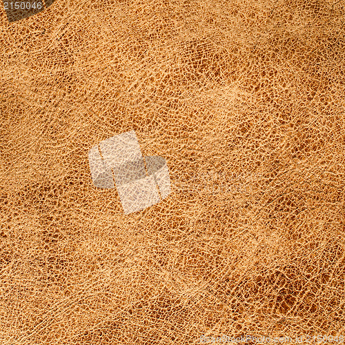 Image of Brown leather texture closeup