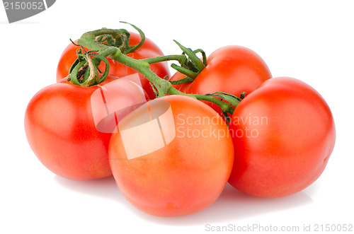 Image of Red ripe tomato