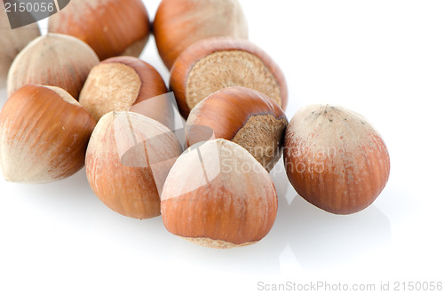 Image of Tasty hazelnuts