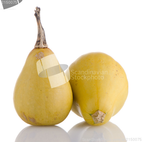 Image of Yellow pumpkins