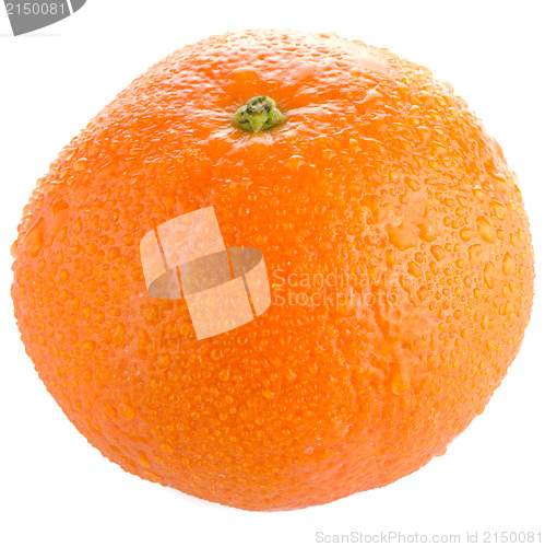 Image of Ripe tangerine or mandarin