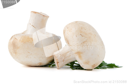 Image of Champignon mushrooms and parsley leaves 