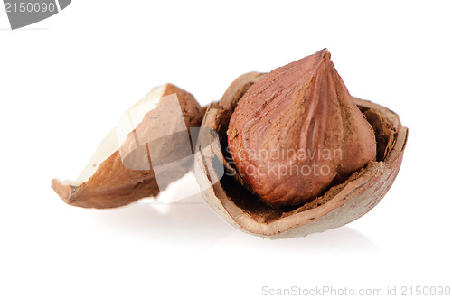 Image of Tasty hazelnuts