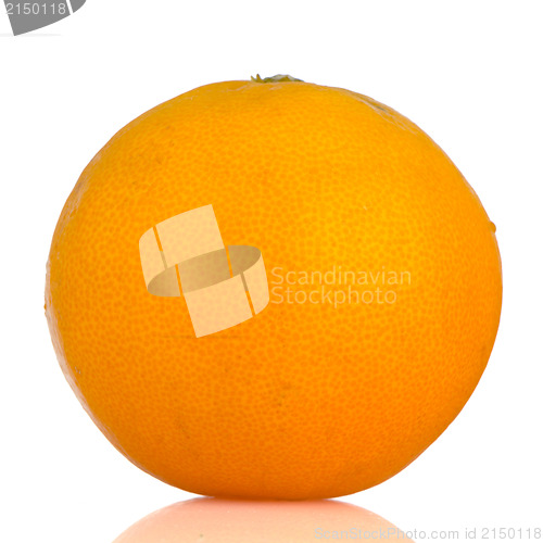 Image of Orange