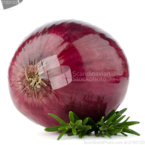 Image of Red onion