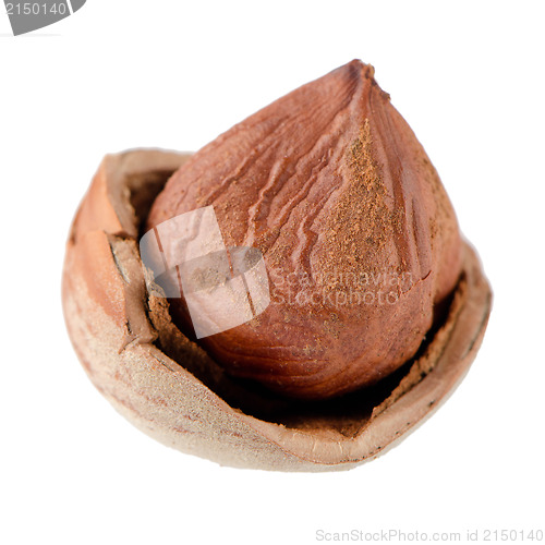 Image of Cracked hazelnut