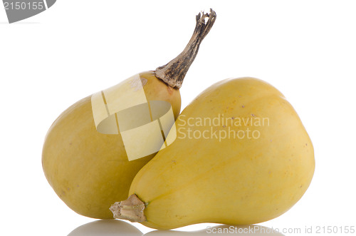 Image of Yellow pumpkins