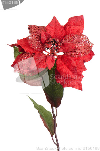 Image of Red Christmas decoration
