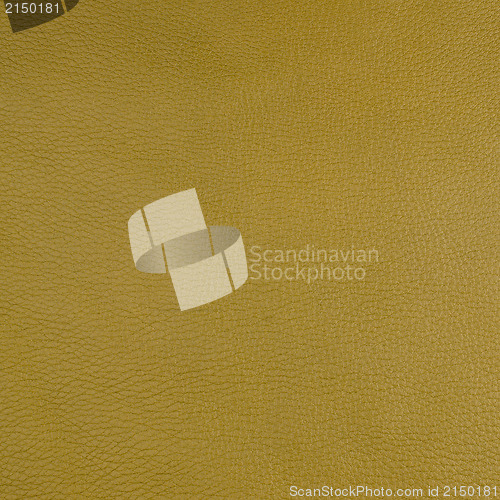 Image of Green leather