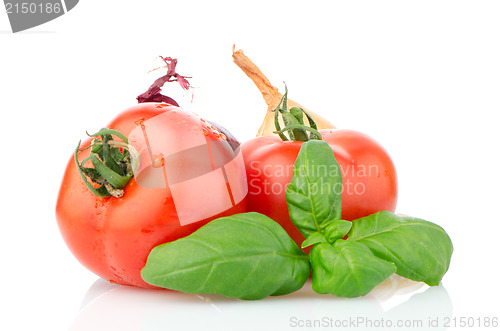 Image of Food ingredients
