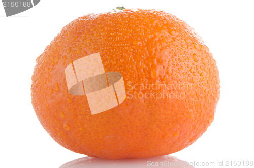 Image of Ripe tangerine or mandarin