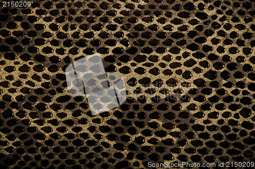 Image of Snake skin background