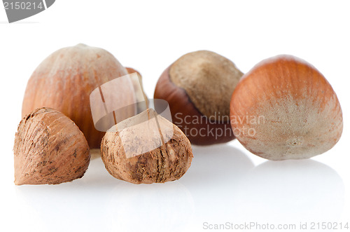 Image of Tasty hazelnuts