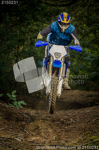 Image of Enduro bike rider